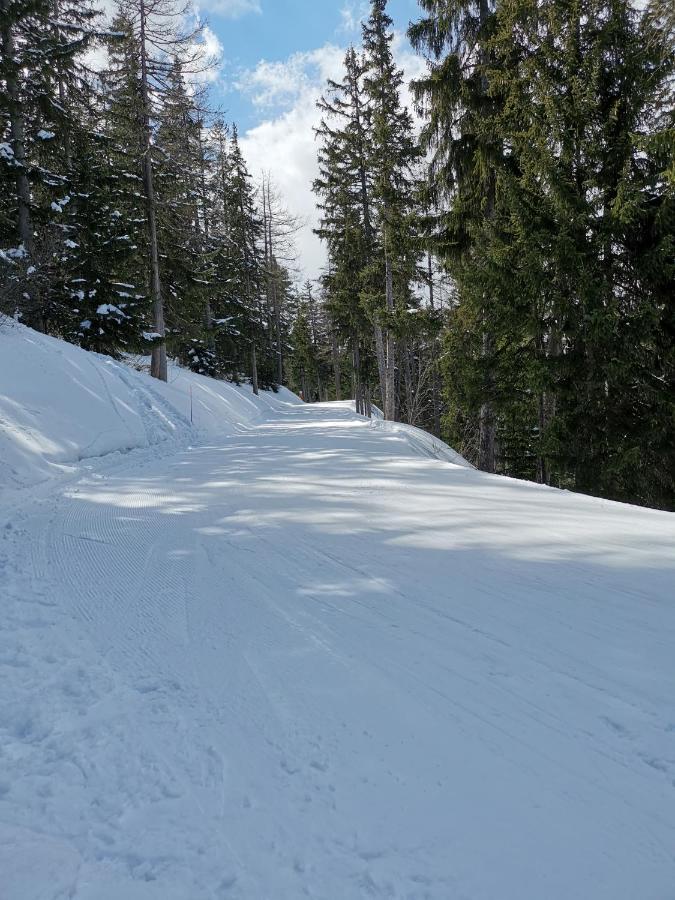 Studio Chaleureux A Lanslevillard Val Cenis 2 Pers 外观 照片